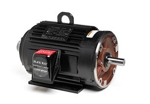 Marathon Motor Black Max VFD