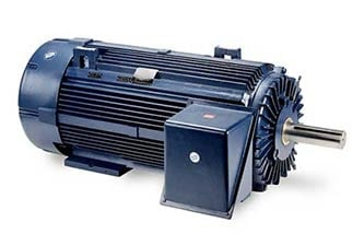 Marathon Motor Blue Chip Medium Voltage
