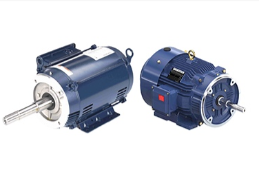 Marathon Motor JP Close Couple Pump